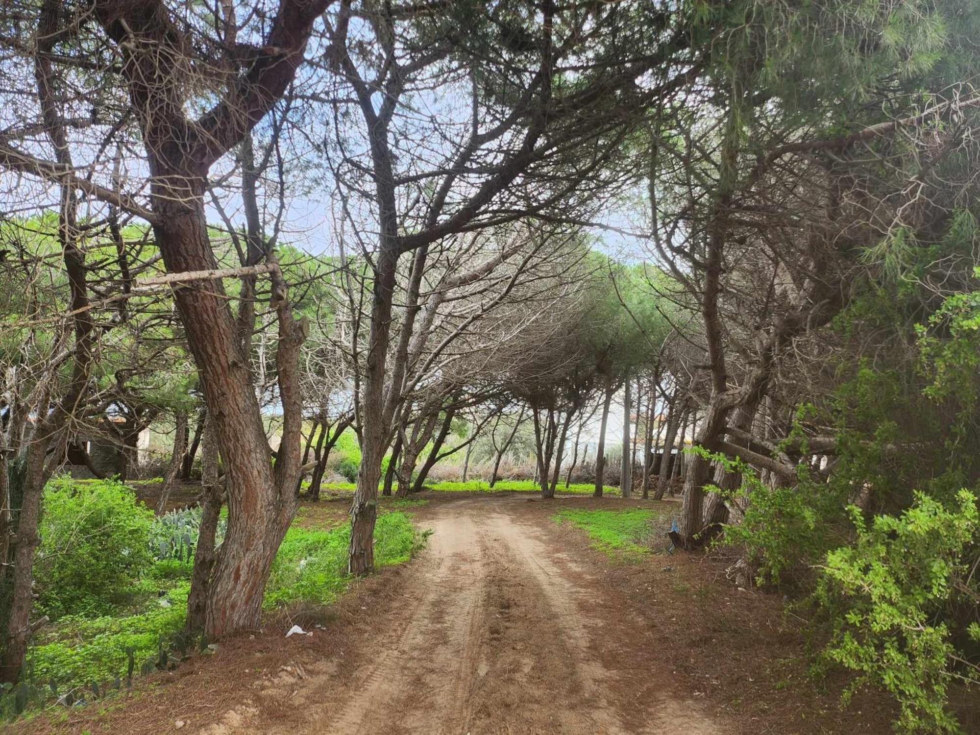 Villa Mabrouka Ra's al Jabal Dış mekan fotoğraf