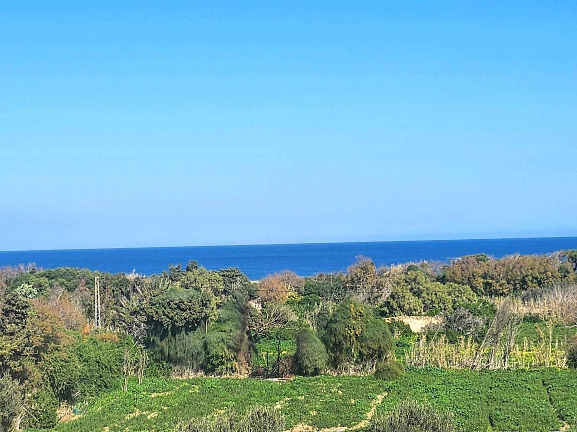 Villa Mabrouka Ra's al Jabal Dış mekan fotoğraf